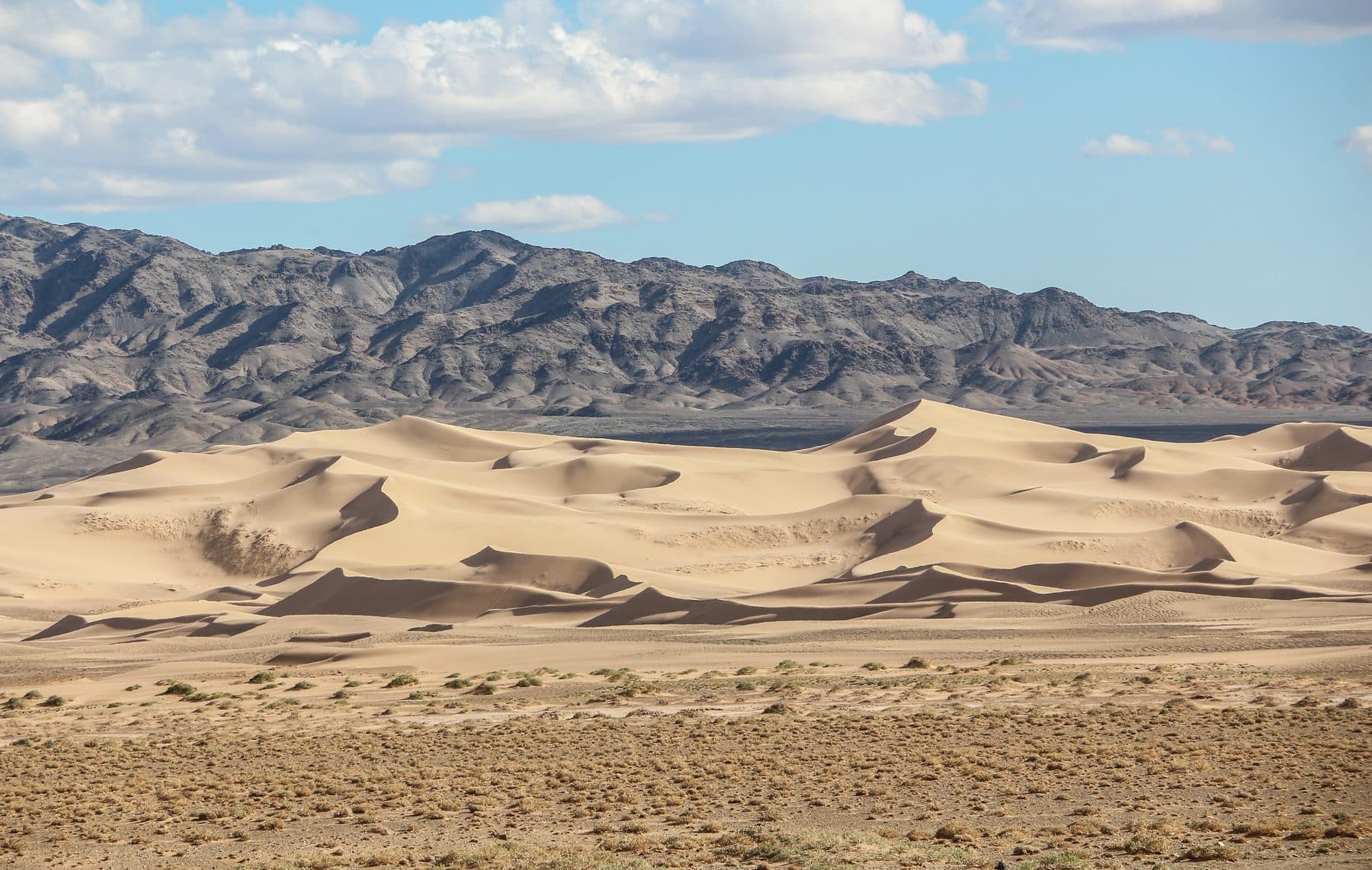 Southern Gobi + Central