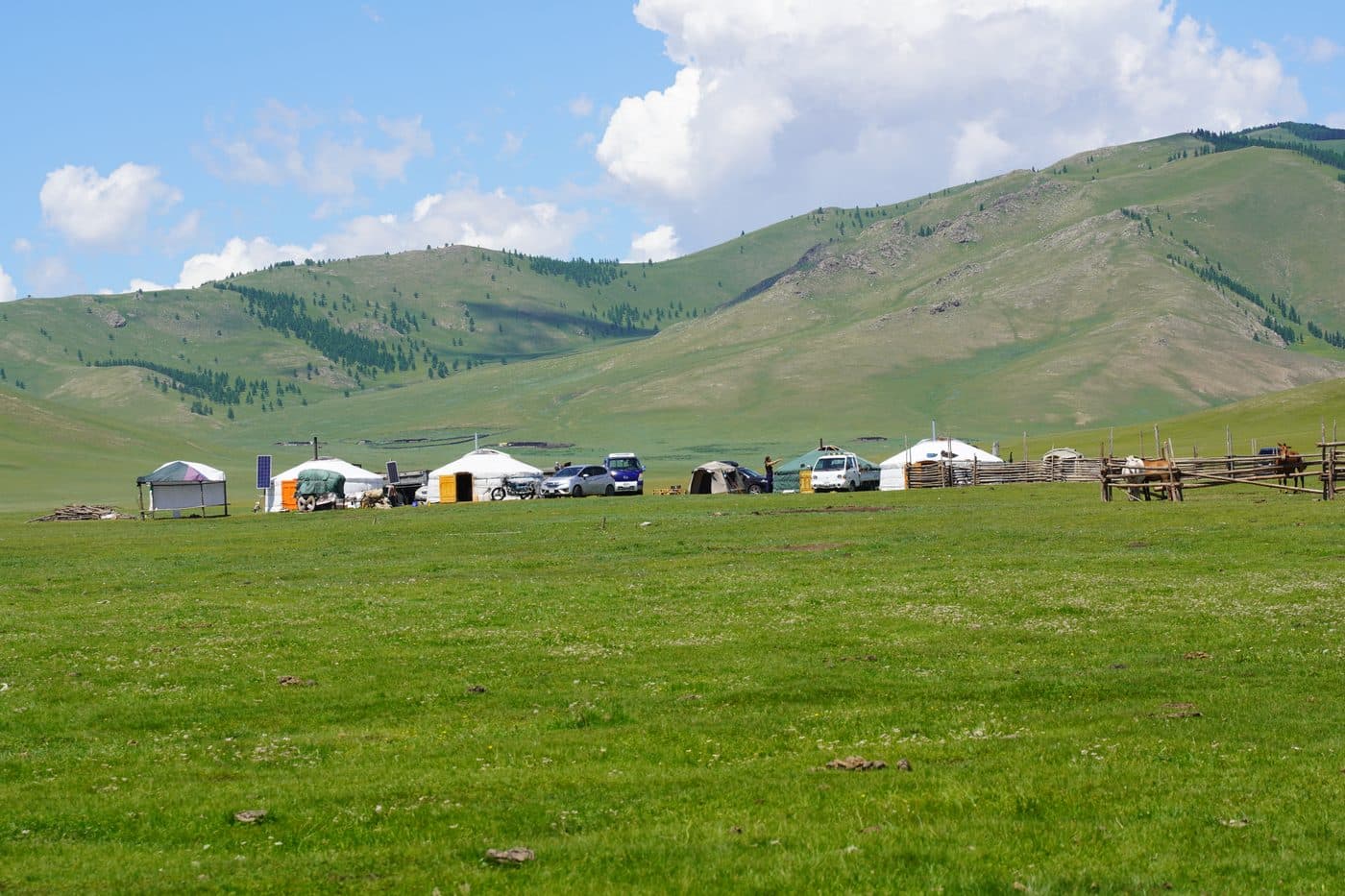 landscape