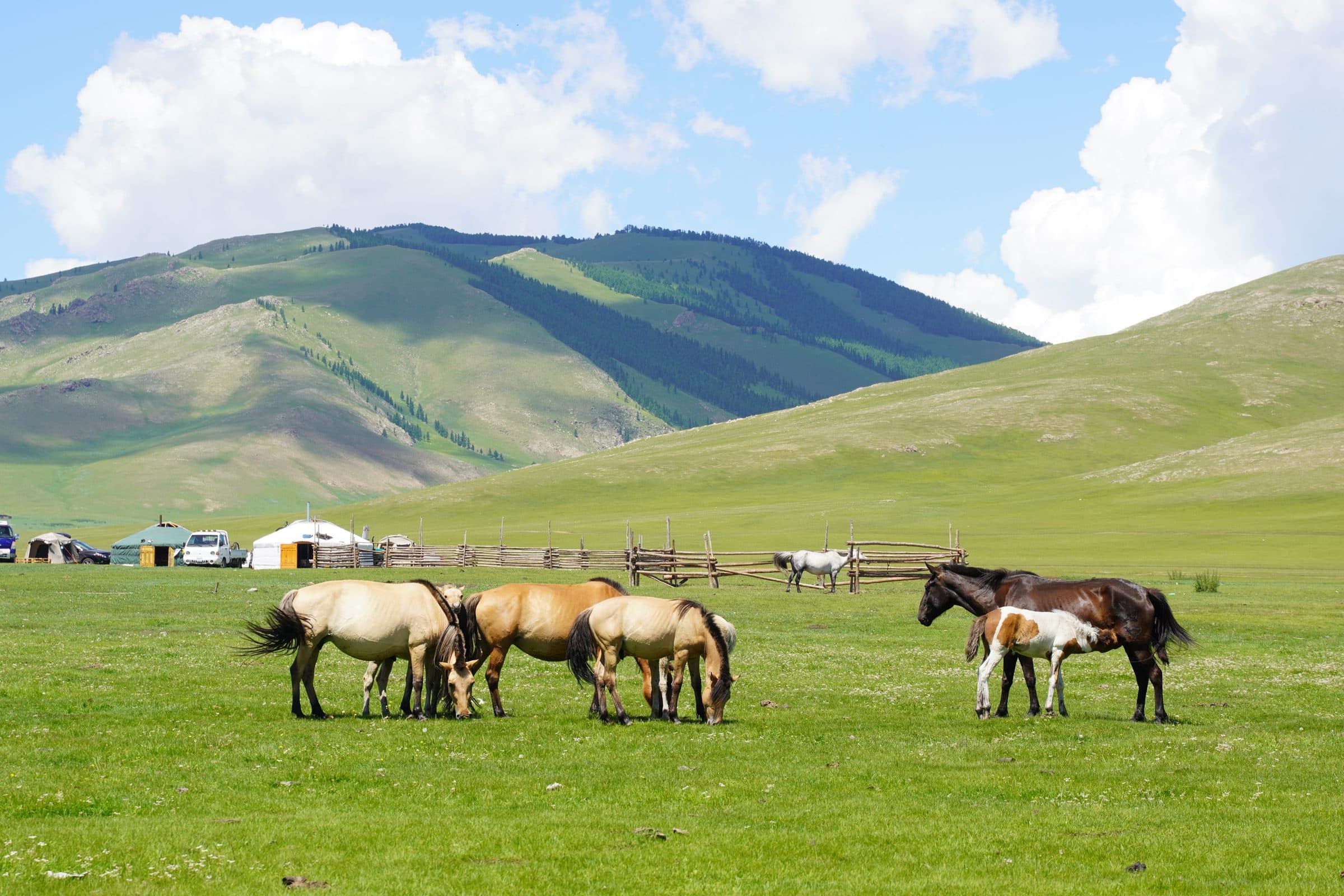 landscape, Orkhon