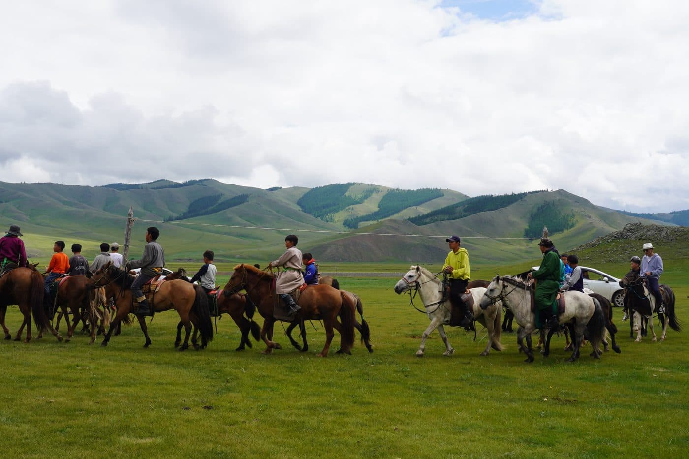 horses