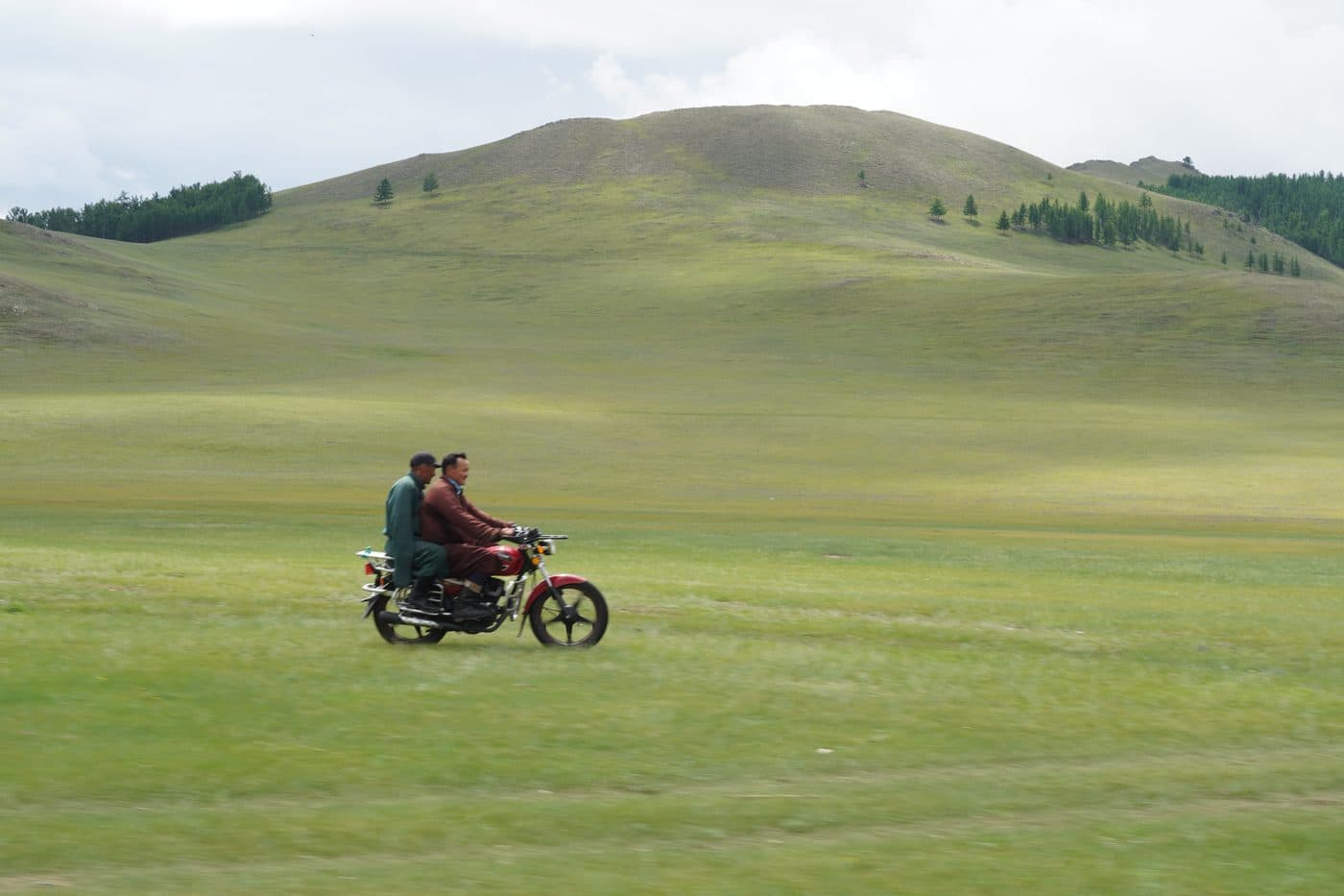horses, naadam