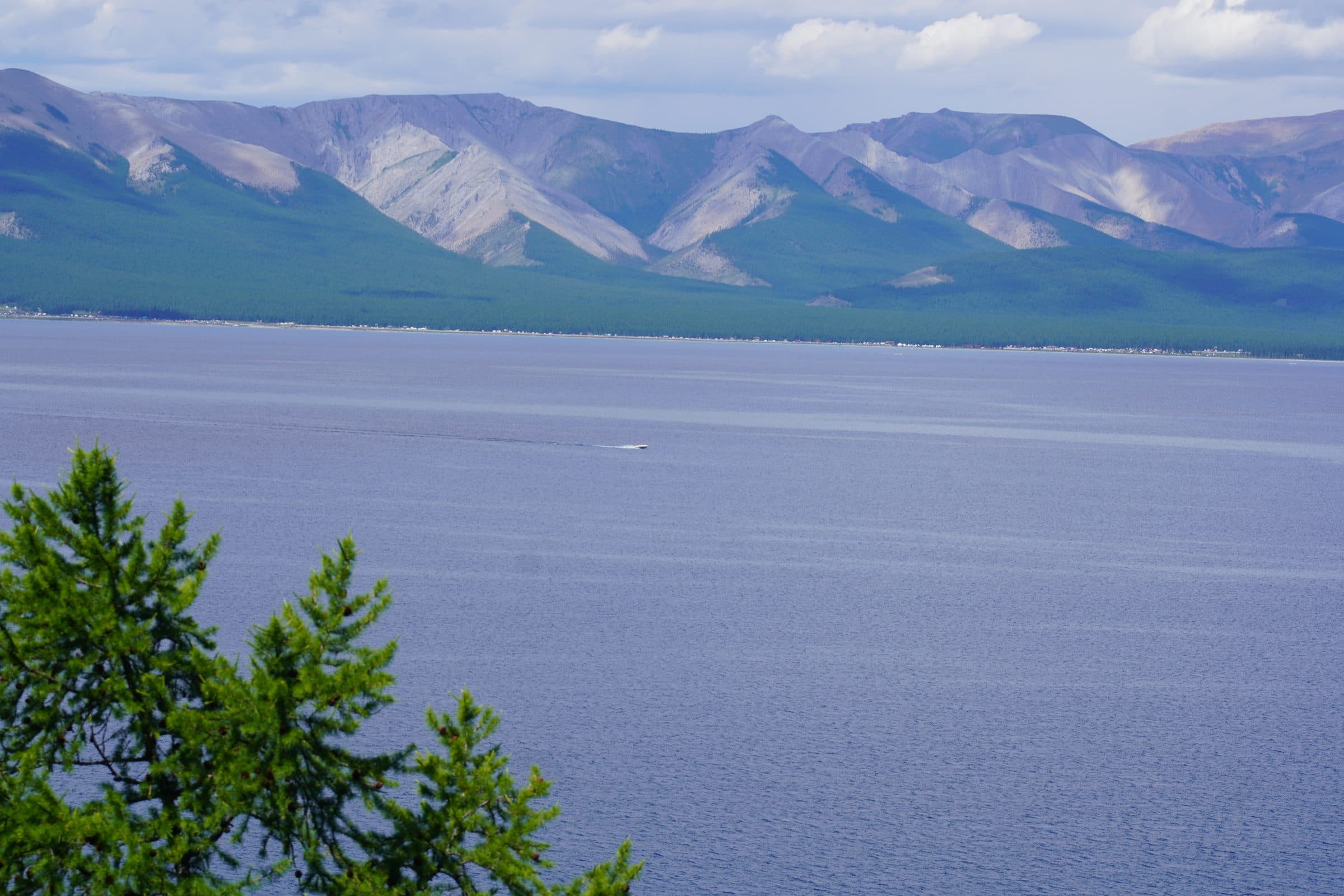 landscape
