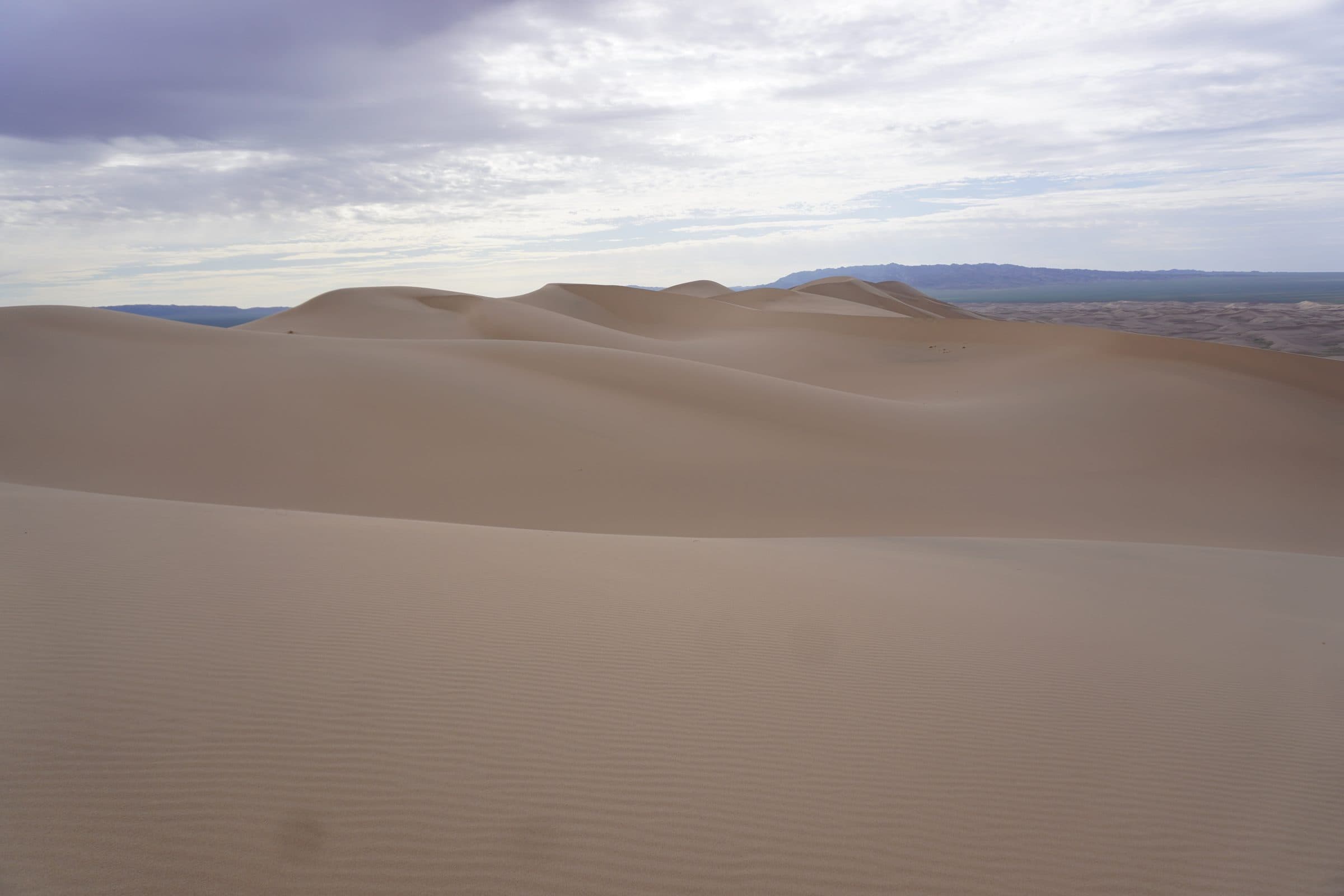 Gobi