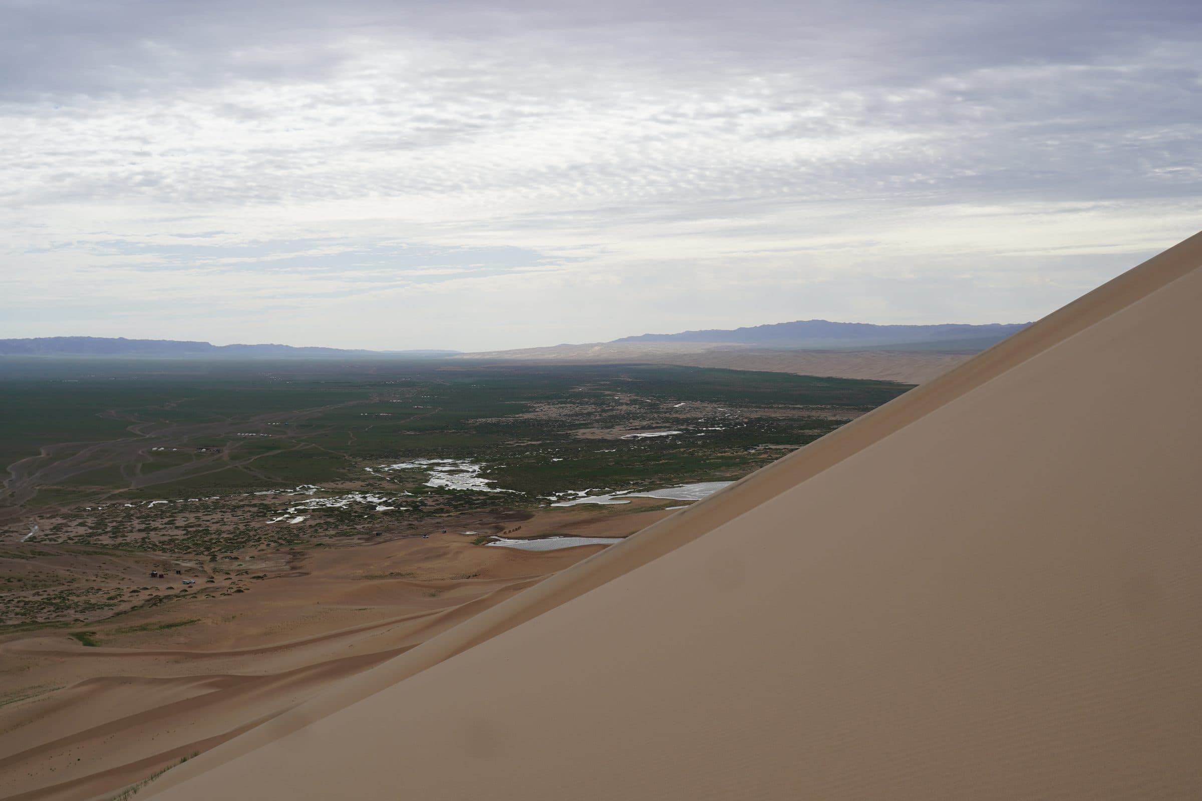 Gobi