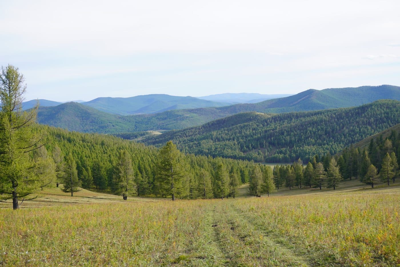 landscape
