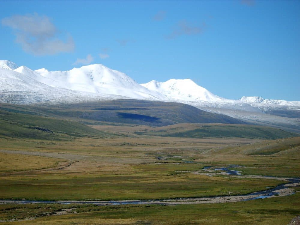Altai plateau and snow peaks