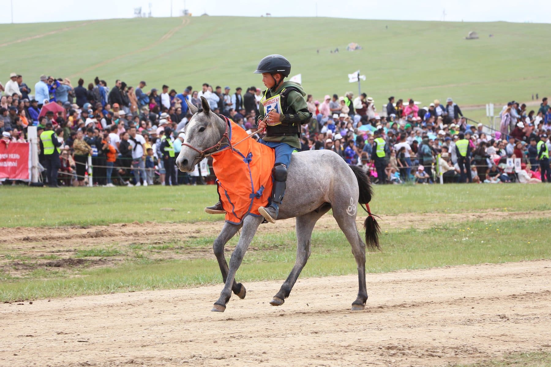 Naadam horse race